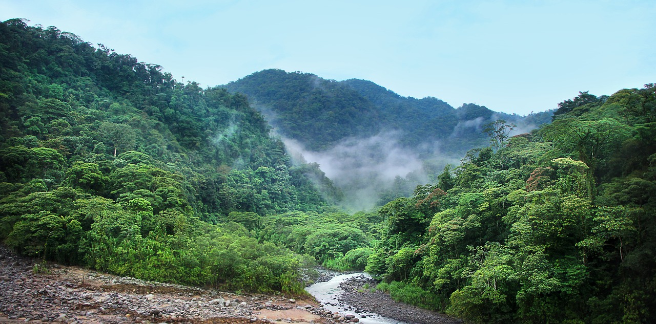 Hot spring in the forest 