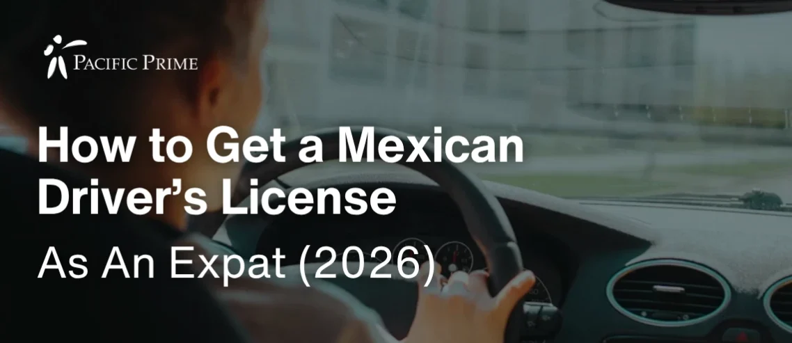 mexican drivers license