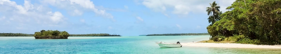 Seguro de salud en Jamaica | Planes médicos de salud