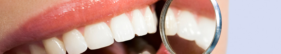 Seguro Dental