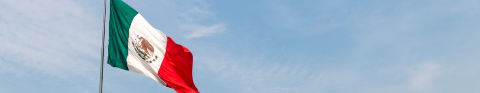 Seguro de salud en México