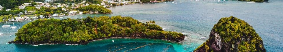 Seguro de saúde em São Vicente e Granadinas