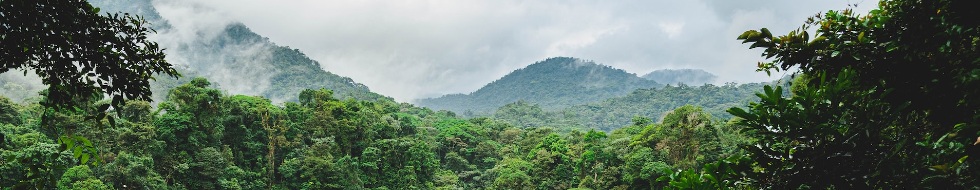 Seguro de saúde da Costa Rica